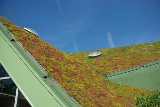 In the steep pitched areas the plant community "Rockery type plant" provides for thick growth and lots of colour. © ZinCo / Van der Tol Sedum roof